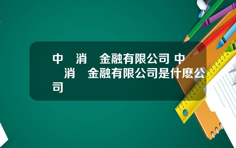中郵消費金融有限公司 中郵消費金融有限公司是什麽公司